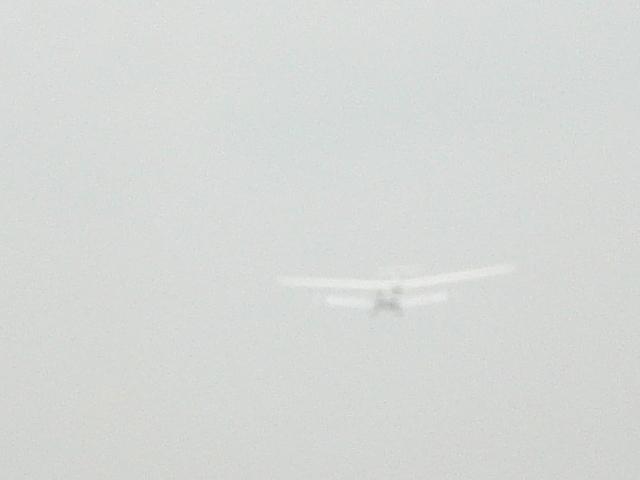 DSC02198